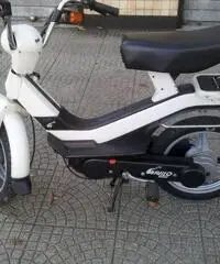 PIAGGIO GRILLO