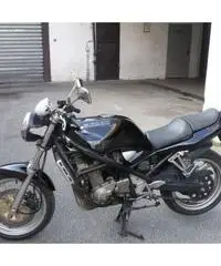 Suzuki bandit 400 - 2