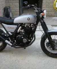 suzuki xf freewind 650 special scrambler