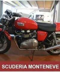 TRIUMPH Thruxton 900 PRATICAMENTE NUOVA-1400 KM-PERFETTA - 2