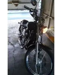 HARLEY-DAVIDSON Sportster 883 Custom cc 883 - 4