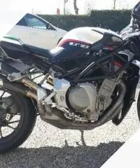 MV Agusta Brutale 1078 - 2008 - 2