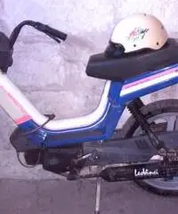 Atala master LL 50cc - 5