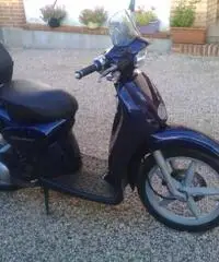 Vendesi scooter Aprilia Scarabeo 50cc 2t - 2