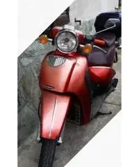 Aprilia scarabeo 150