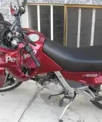 Pegaso 650