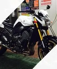 Yamaha FZ8 - 2