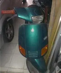 Vendo zip del 92