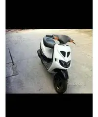 Zip sp piaggio