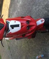 Phantom 2001 Ducati - 2