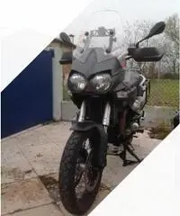 Moto Guzzi Stelvio 1200 - 2014 - 2