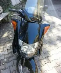 Honda foresight 250 cc.  2000 - 5