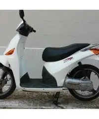 MALAGUTI Ciak Scooter cc 50