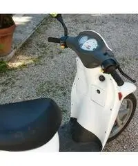 MALAGUTI Ciak Scooter cc 50 - 3