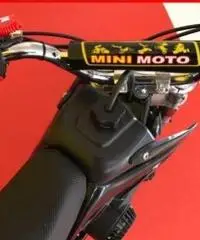 AF MOTOR Minicross 50 cc rosso/nero - 1 - 5