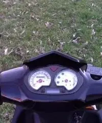 NUOVI SCOOTER 50 cc 4T GTM FALCON - 5