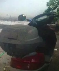 Scooter Honda bali 50cc - 2