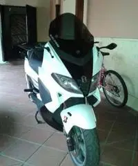 Gilera Nexus 500 - 3