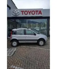 FIAT Panda 1.2 4x4 - 3