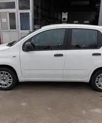 Fiat Panda 1.2 Easy  X NEOPATENTATI - 2