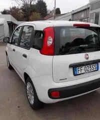 Fiat Panda 1.2 Easy  X NEOPATENTATI - 7