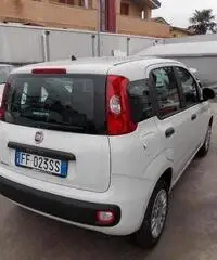 Fiat Panda 1.2 Easy  X NEOPATENTATI - 9