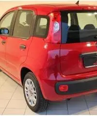 FIAT Panda 1.2 Easy - 4