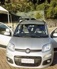 FIAT Panda Panda 1.2 Lounge - 4