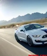 FORD Mustang GT 350 Shelby - 2