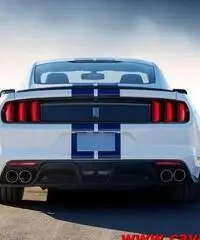 FORD Mustang GT 350 Shelby - 7