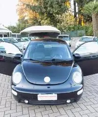 Volkswagen New Beetle 1.9 TDI 101CV - 2