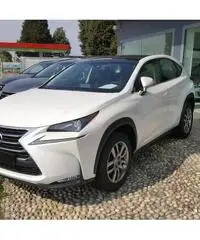 Lexus NX Hybrid 4WD Icon - 2