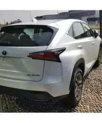 Lexus NX Hybrid 4WD Icon - 3