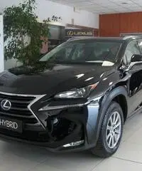 Lexus NX NX Hybrid - 4