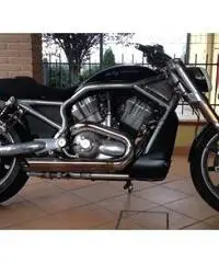 Harley Davidson