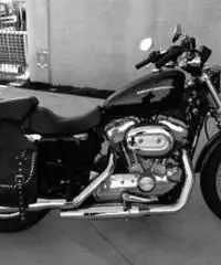 Harley Davidson Sportster 883