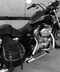 Harley Davidson Sportster 883 - 3