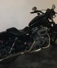 H-D SPOSTER 1200 NIGHTSTER