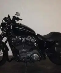 H-D SPOSTER 1200 NIGHTSTER - 2