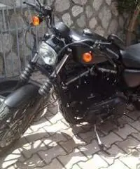 Harley-davidsono 883 iron - 2