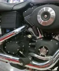 DYNA Sport 1450 Limited Edition - 2