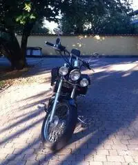 HONDA SHADOW VT 600 - 2