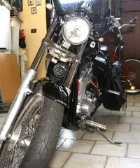 Honda Shadow VT 600 - 3