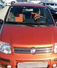 FIAT Panda 1.2 Dynamic GPL - 2