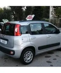 FIAT Panda 1.2 Lounge OK NEOPATENTATI 5 POSTI - 3