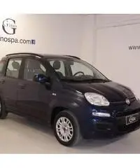 FIAT Panda 1.2 Lounge - AZIENDALE - 2