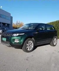 LAND ROVER Range Rover Evoque RANGE ROVER EVOQUE 2.2 TD4 150CV PURE TECH PACK AU