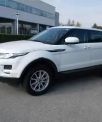 LAND ROVER Range Rover Evoque 2.2 TD4 5p. Pure - 4