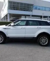 LAND ROVER Range Rover Evoque 2.2 TD4 5p. Pure - 5