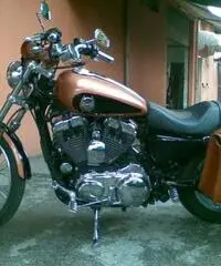 HARLEY DAVIDSON 1200C SPORTSTER CUSTOM